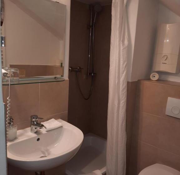 بنسيون Maternushof