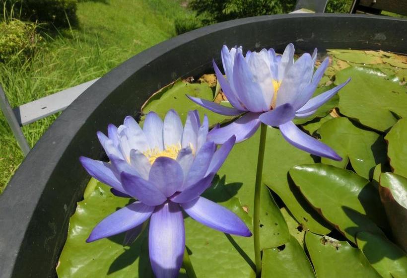 ユースホステル Guesthouse Asobigokoro Fukuokadazaifu