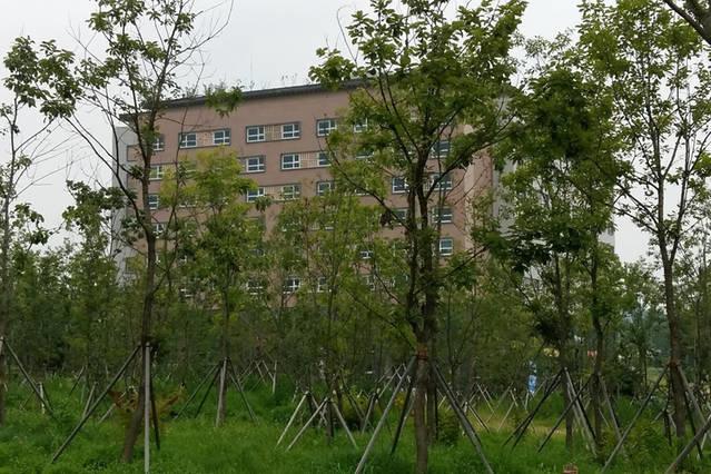 فندق صغير Koaroo