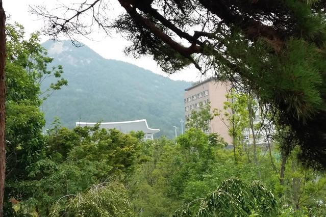 فندق صغير Koaroo