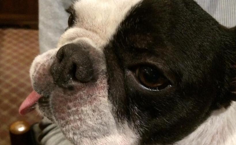 ベッドアンドブレックファースト Lake Village Donaludo Pension