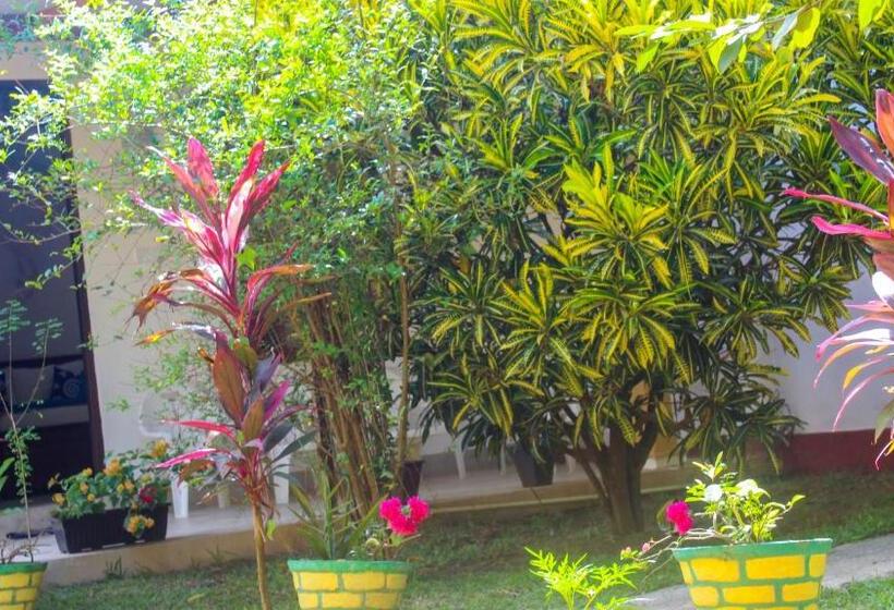 ベッドアンドブレックファースト Lathika Homes