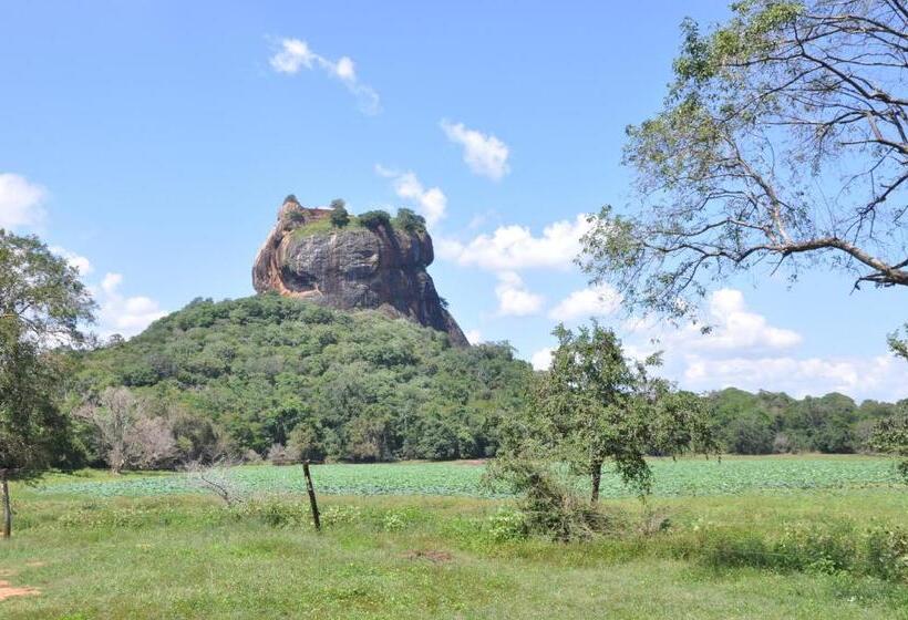 ベッドアンドブレックファースト Lathika Homes