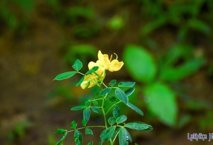 ベッドアンドブレックファースト Lathika Homes