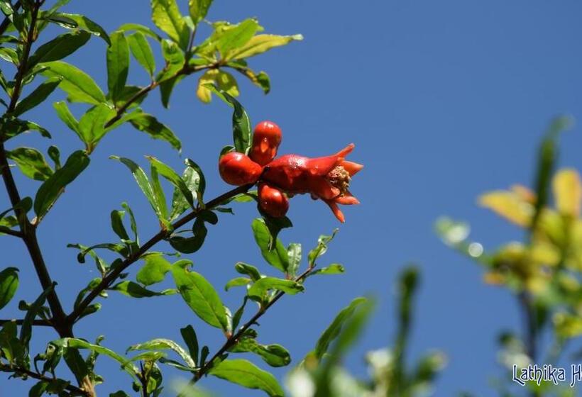 ベッドアンドブレックファースト Lathika Homes