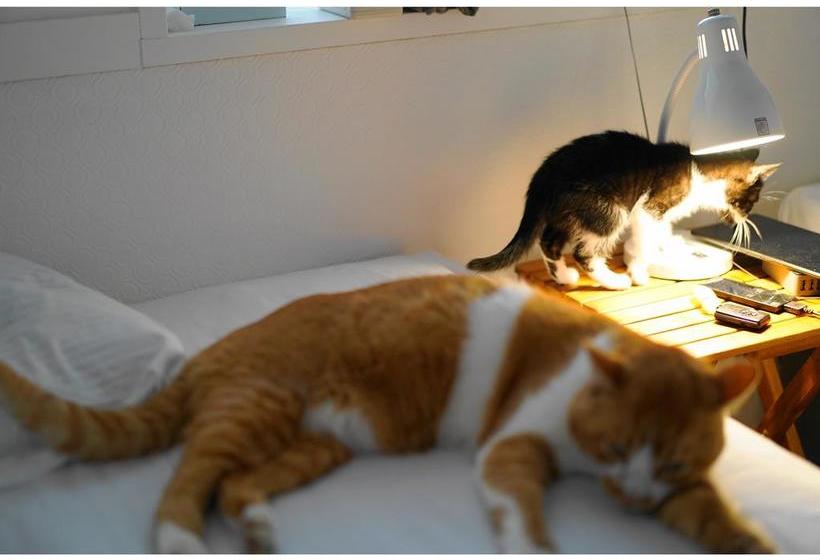 住宿加早餐 Pension Atca