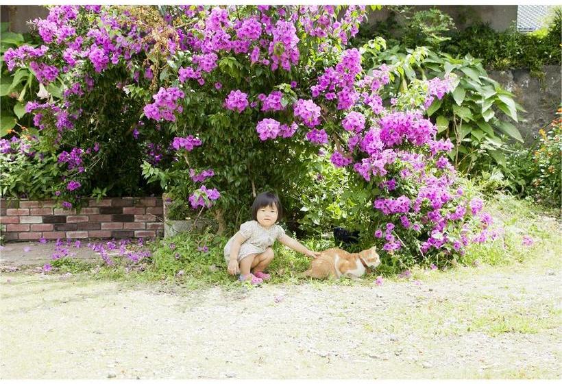 住宿加早餐 Pension Atca