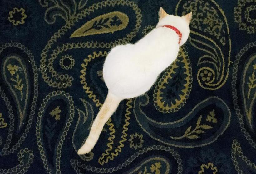 住宿加早餐 Pension Atca