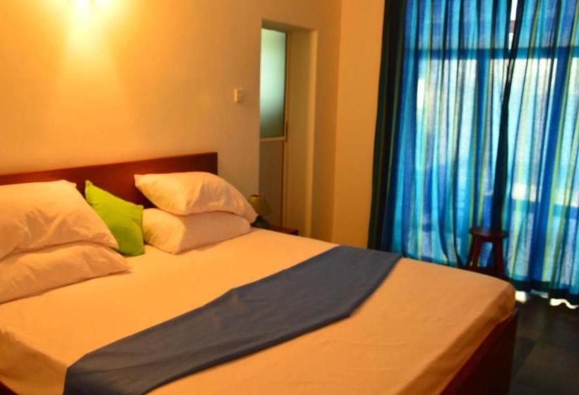 住宿加早餐  Swan White Villa