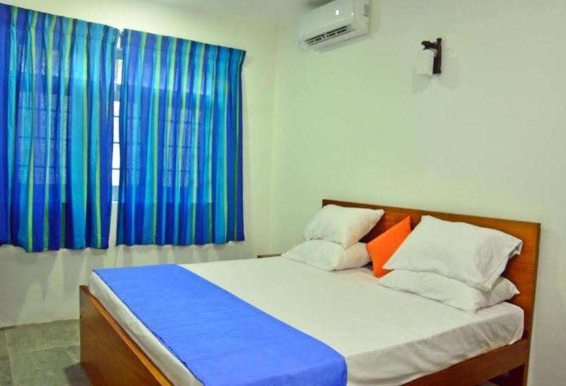 住宿加早餐  Swan White Villa