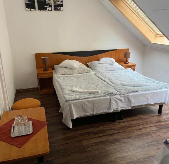 Bed and Breakfast Teke Panzió