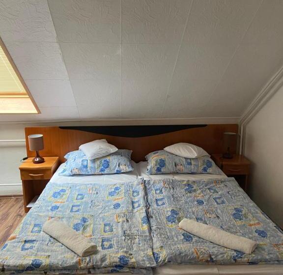 Bed and Breakfast Teke Panzió