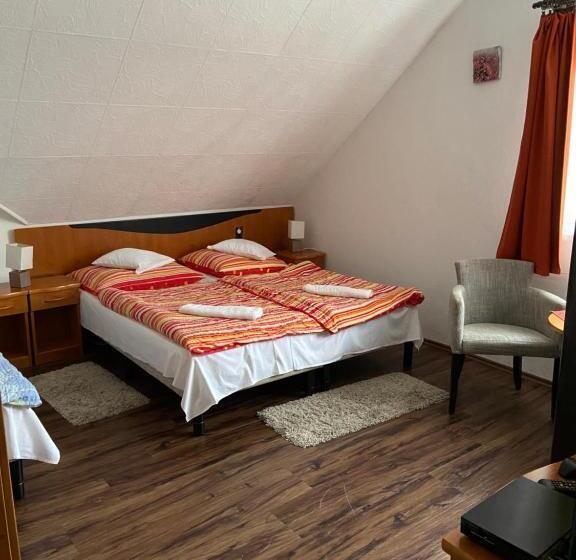 Bed and Breakfast Teke Panzió