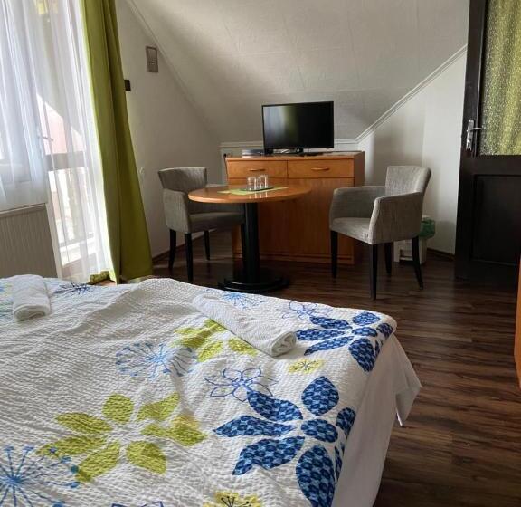 Bed and Breakfast Teke Panzió