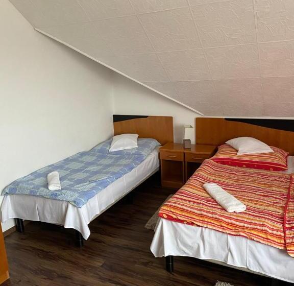 Bed and Breakfast Teke Panzió