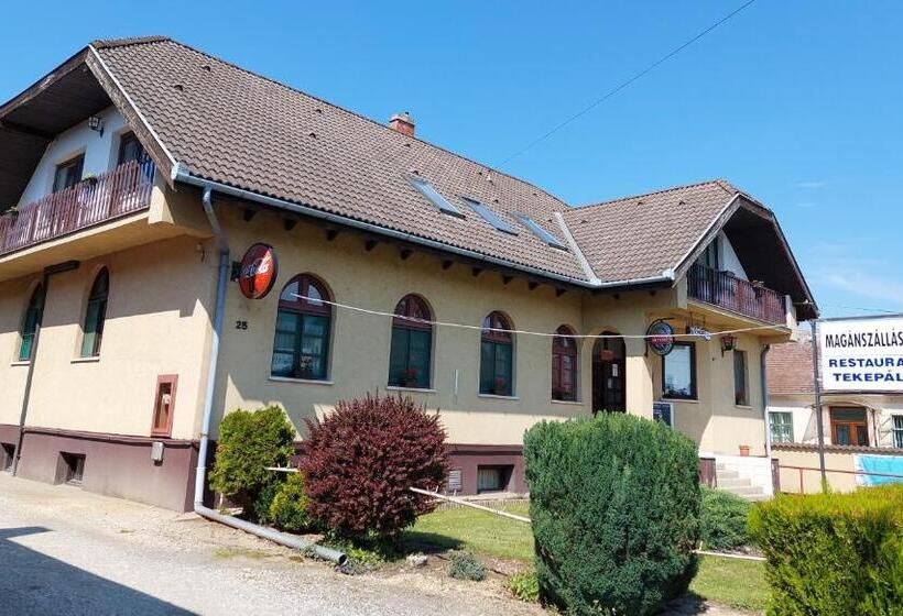 Bed and Breakfast Teke Panzió