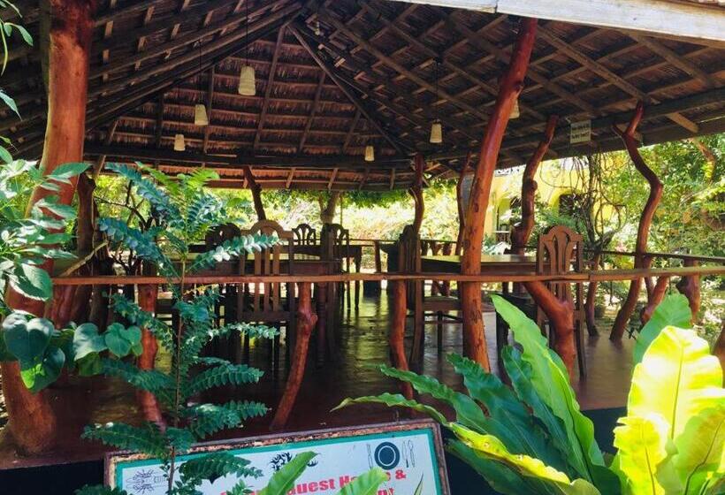 Bed and Breakfast Temple Flower Guest