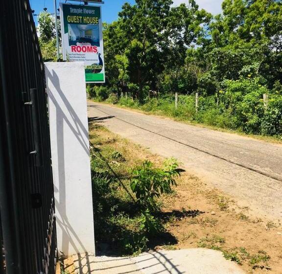 Bed and Breakfast Temple Flower Guest