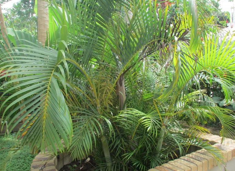 تختخواب و صبحانه Tuna S Lodge