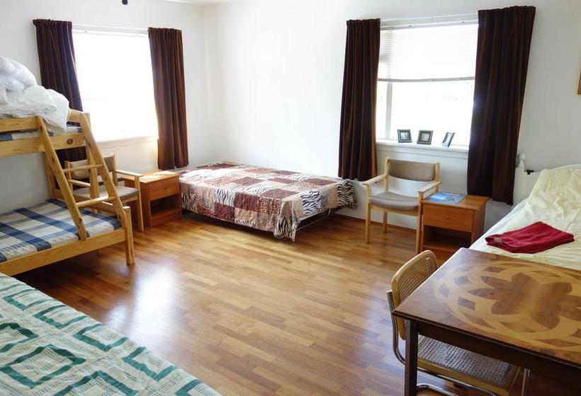 هاستل Bryggjukaffi