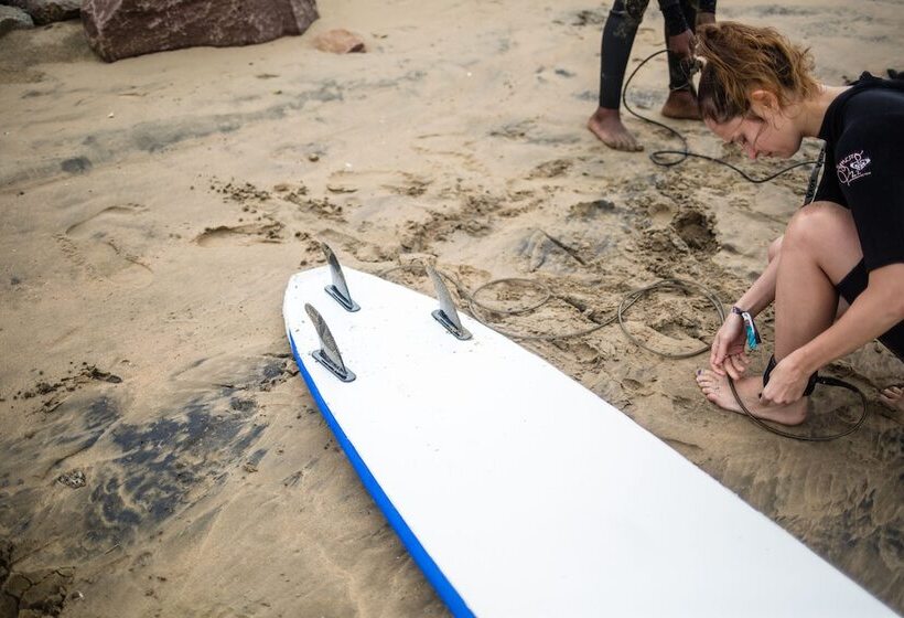 Curiocity Durban   Hostel