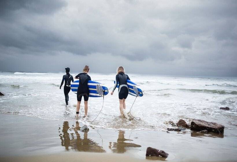 Curiocity Durban   Hostel