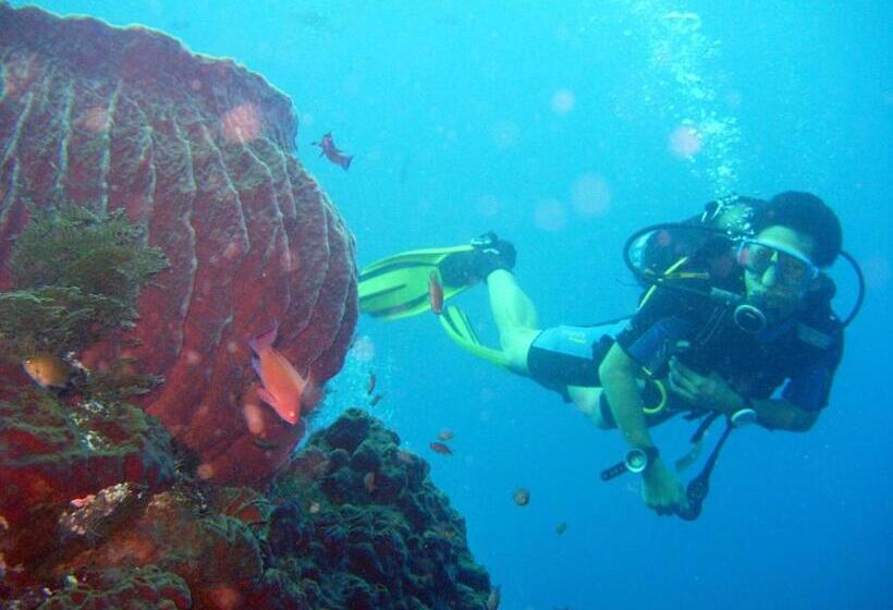 בית מלון כפרי Bali Umah Tinjung