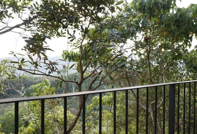 Отель Bogala Village Eco Resort