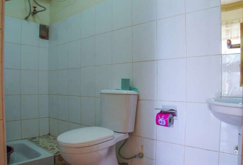 هتل Capricon Executive