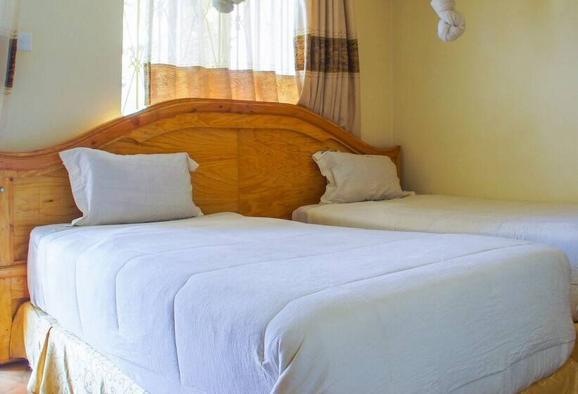 هتل Capricon Executive