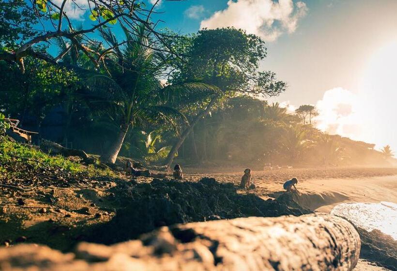 فندق El Encuentro Surf Lodge