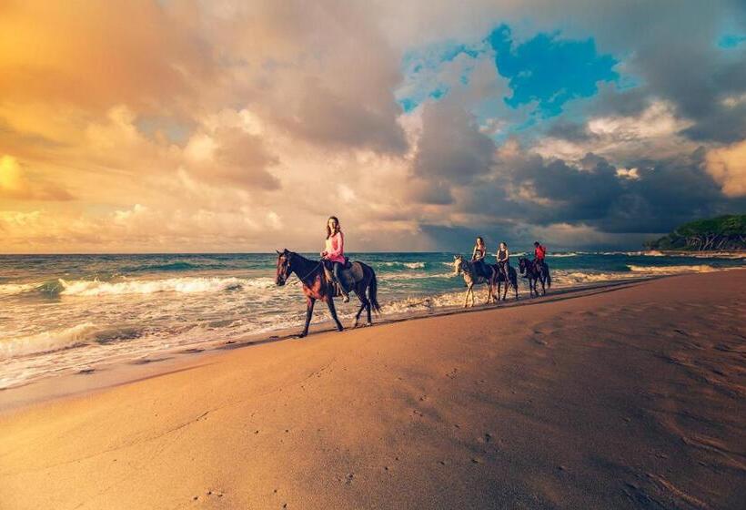 Отель El Encuentro Surf Lodge