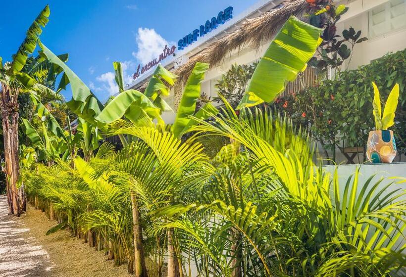فندق El Encuentro Surf Lodge