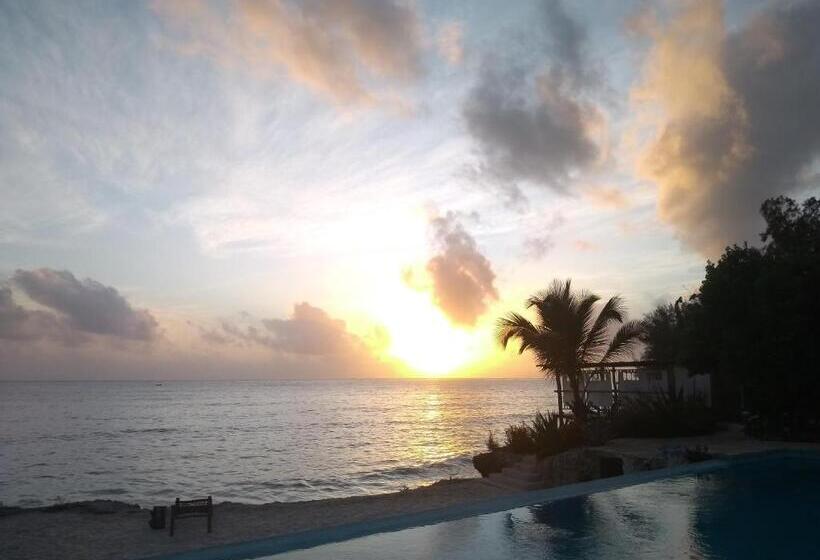 Отель Marafiki Bungalows