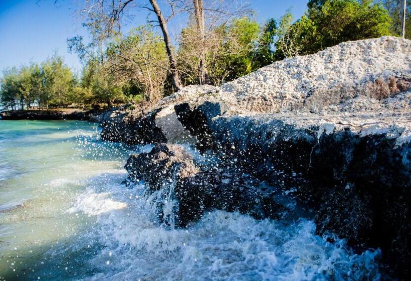 Отель Marafiki Bungalows