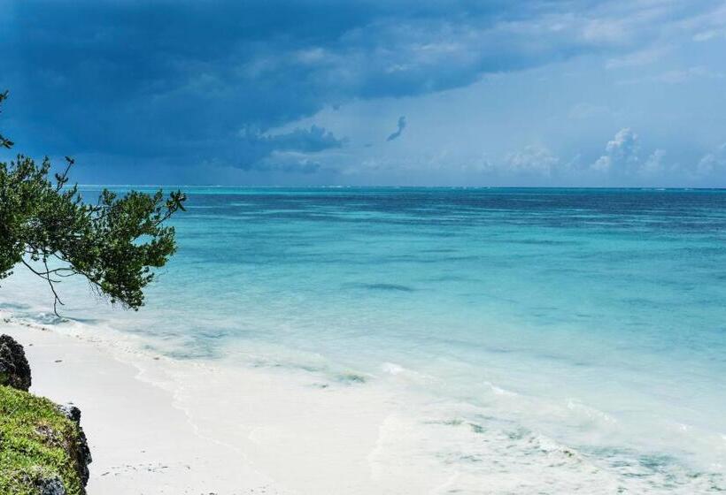 Отель Marafiki Bungalows