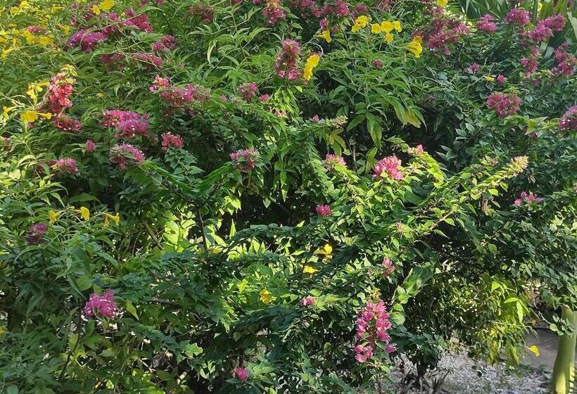 Отель Marafiki Bungalows