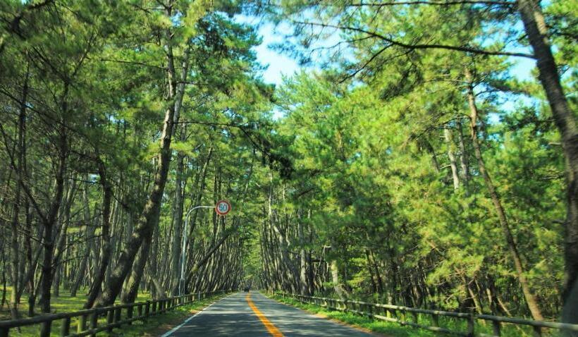 Отель Sea Style Resort Ocean