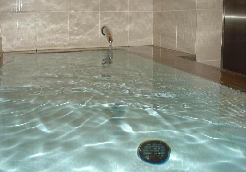 Spa & Sauna Hotel Hitachi Plaza