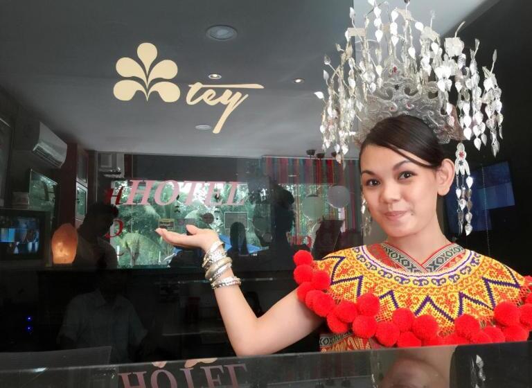 בית מלון כפרי Tey