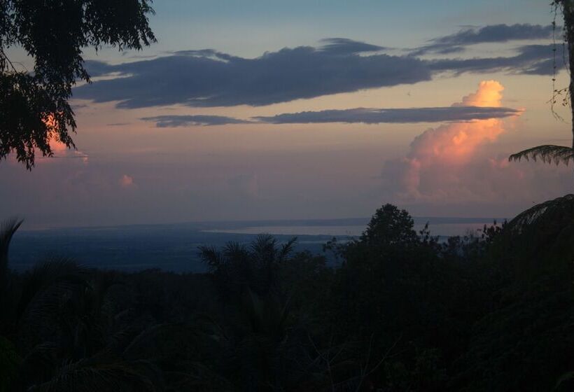 אתר נופש Alassari Plantation