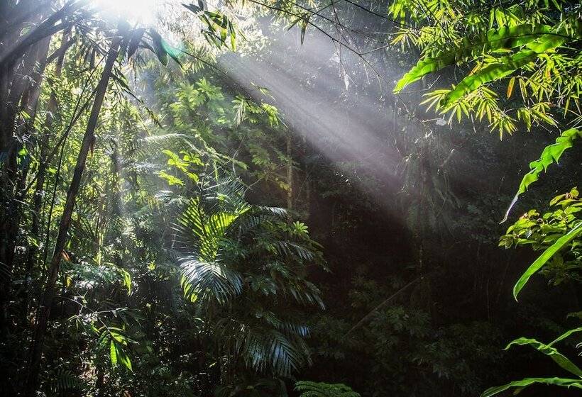 אתר נופש Alassari Plantation