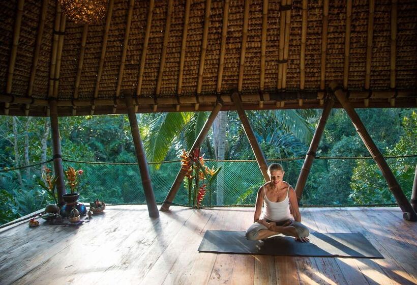 אתר נופש Alassari Plantation