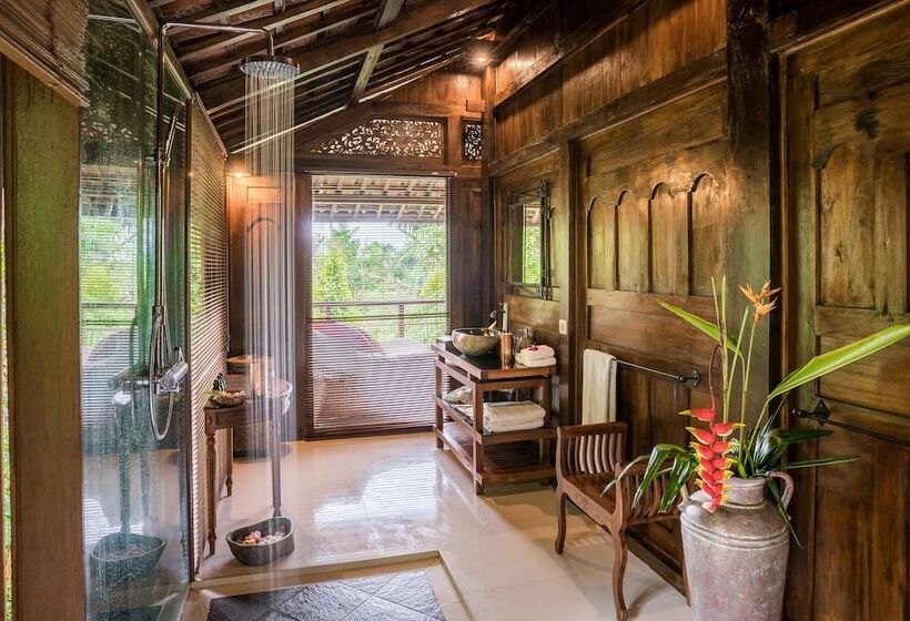 אתר נופש Alassari Plantation