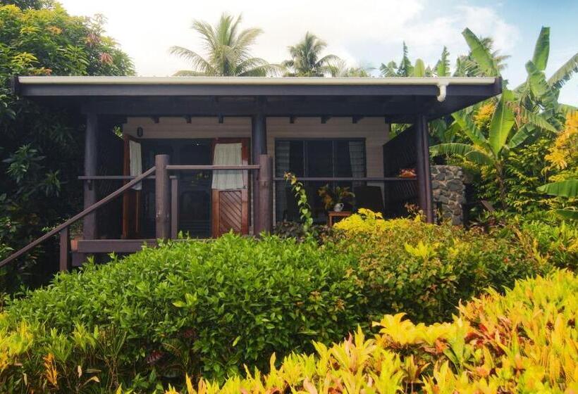 リゾートホテル Coconut Grove Beachfront Cottages