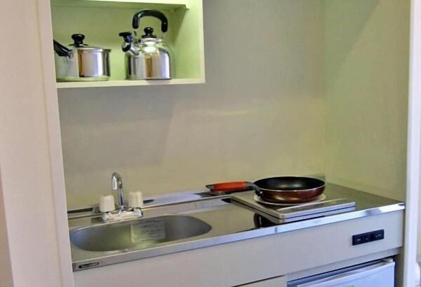 Tachikawa Urban Hotel Annex