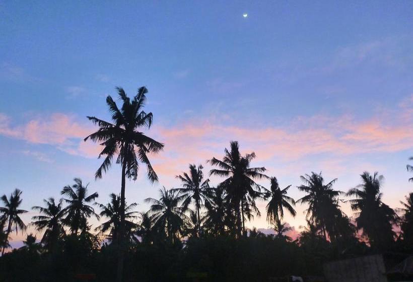 호스텔 Gipsy Backpackers