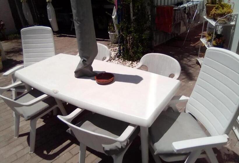 住宿加早餐  Au Plais De Langebaan At Palm Tree Villa