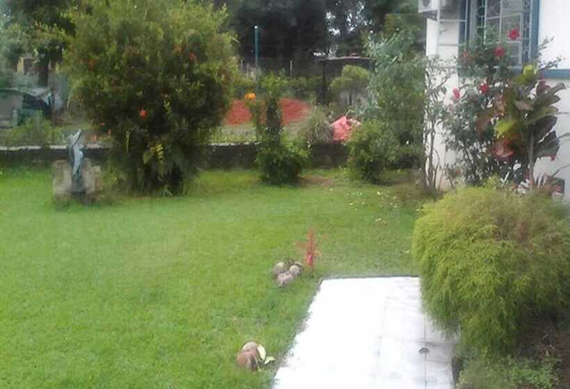 تختخواب و صبحانه Dreams Homestay