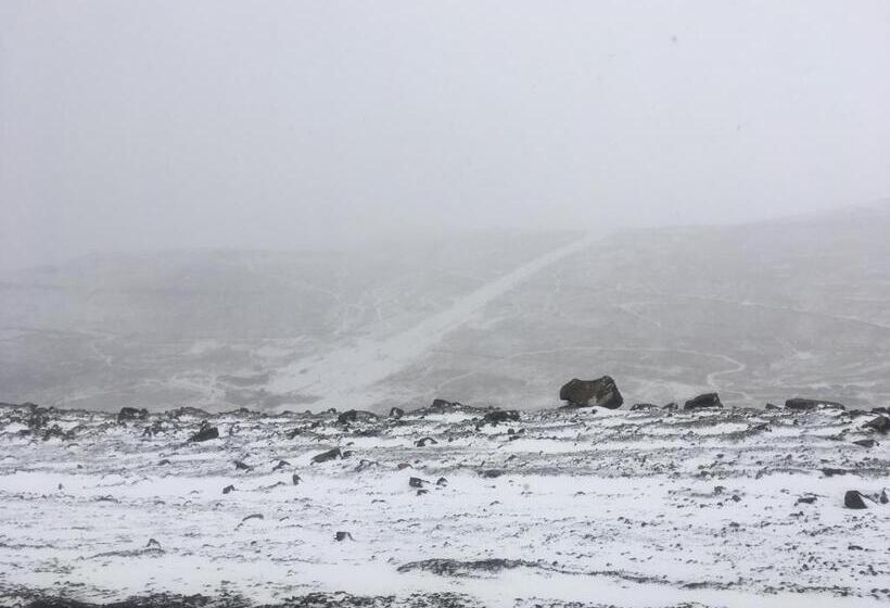 مبيت وإفطار Gewel Guesthouse